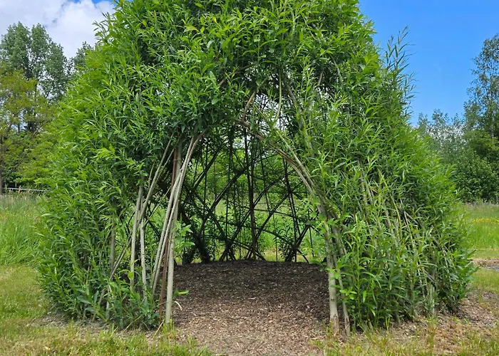 La Reliance - En Ardennes, Jacuzzi, Sauna Hébergement de vacances *